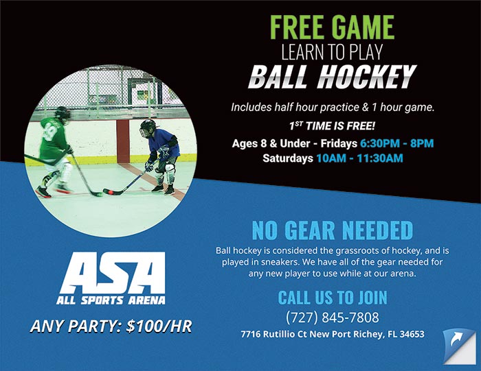 Learn Ball Hockey Flyer Design