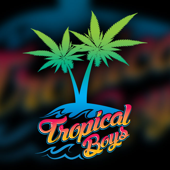 Tropical Boys Logo Design